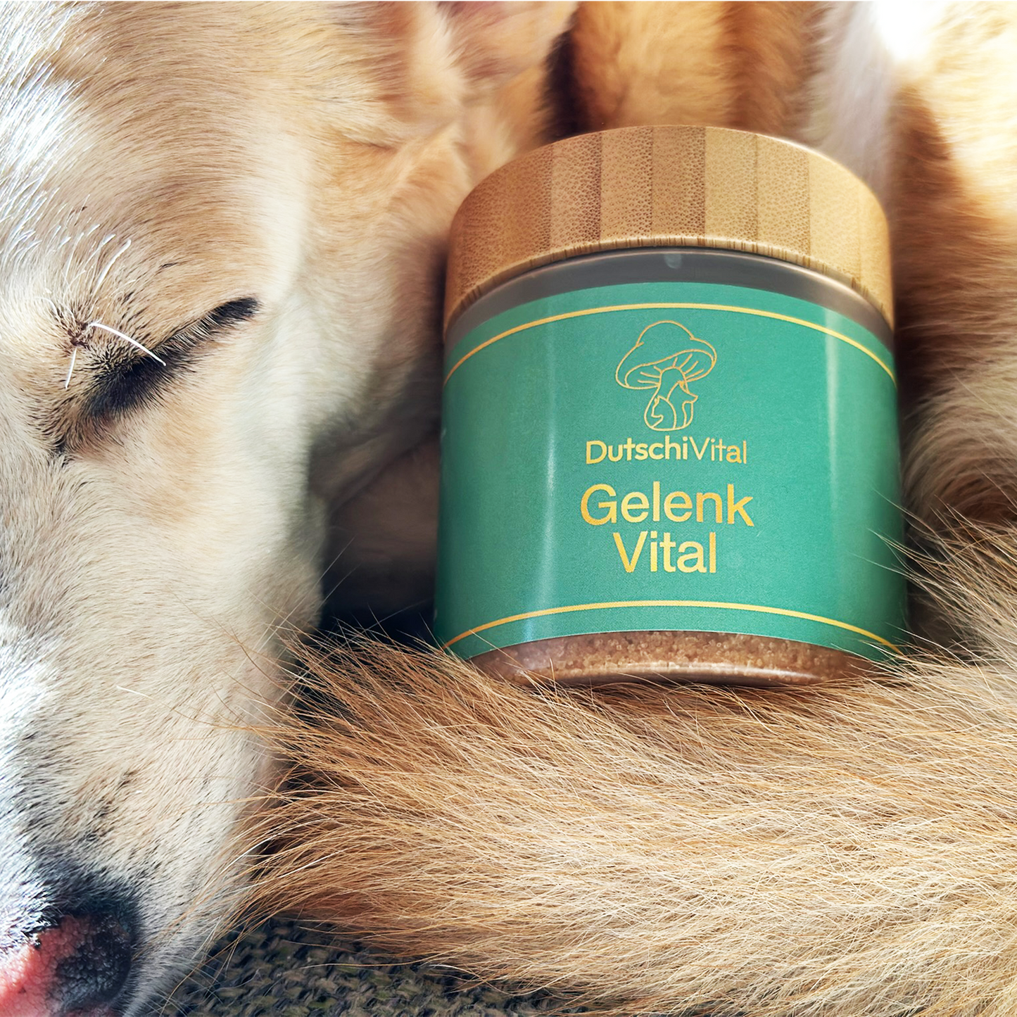 GelenkVital